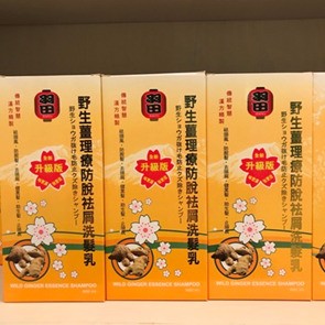野生薑防脫祛屑洗髮乳 (900ml)